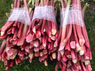 Hello, I am selling raspberry rhubarb