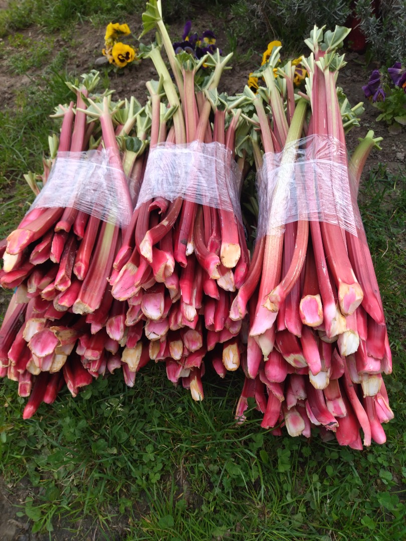 Hello, I am selling raspberry rhubarb