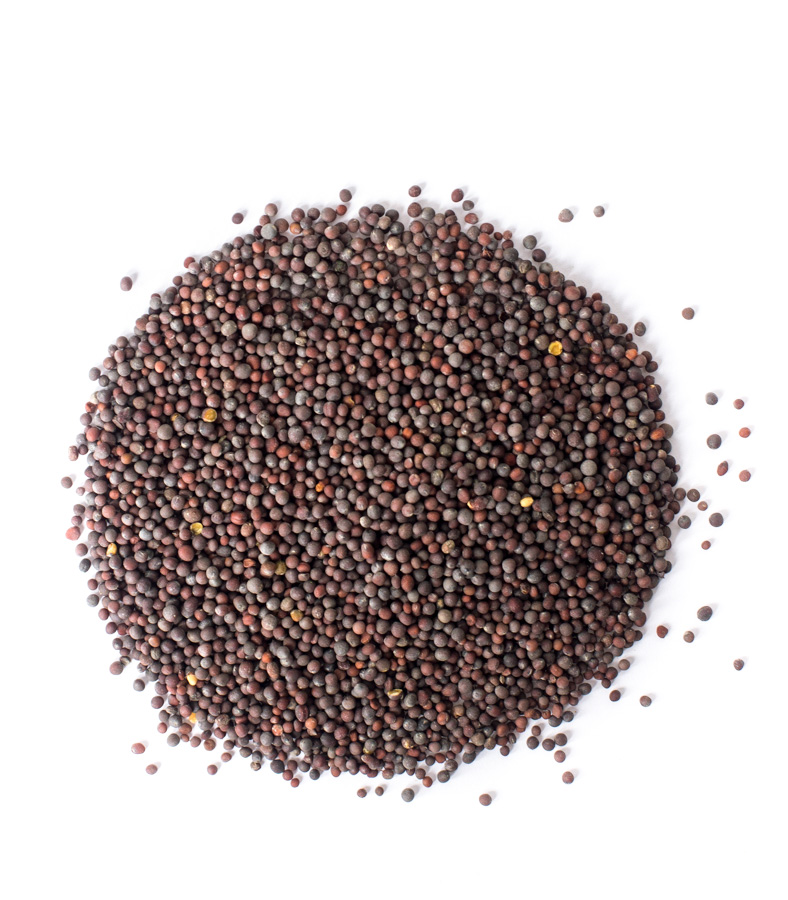 I will sell black mustard seeds! Grain has a quality certificate! Stored in the right conditions of temperature and humidity! Grain moisture 3.8%! Quantity 400