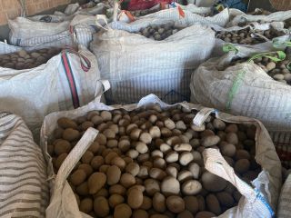 Since September we have 10,000 tons of potatoes available.