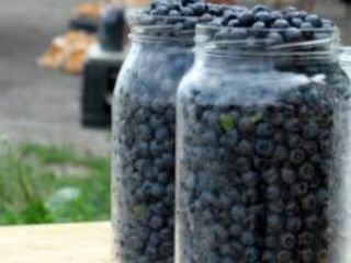 I will sell blueberries PLN 18 per liter