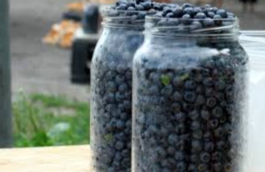 I will sell blueberries PLN 18 per liter
