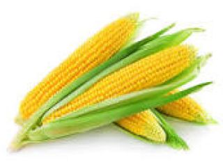 I offer for sale dry corn with very good