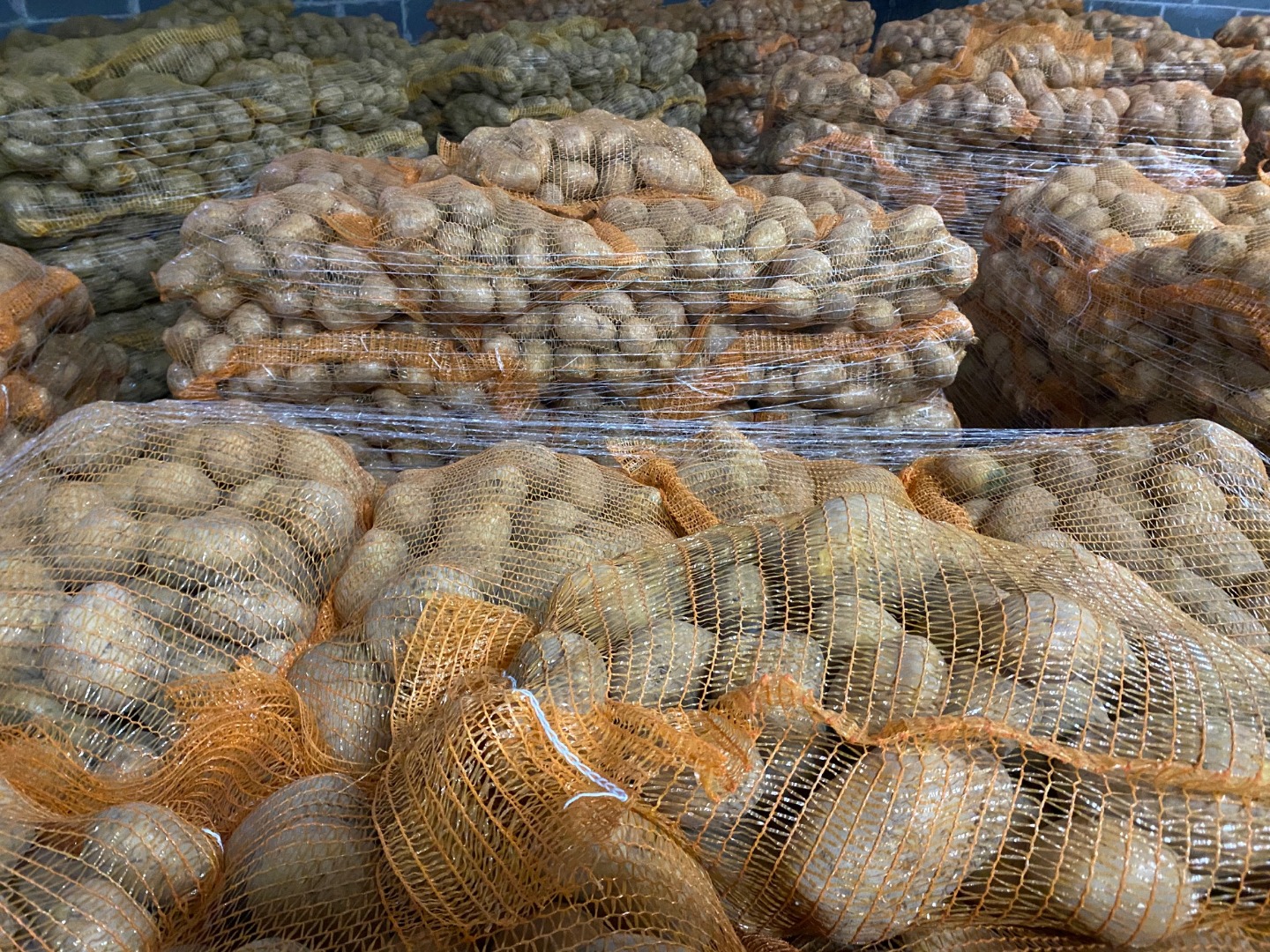 We have 10,000 tons of potatoes since September