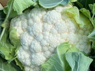 We make cauliflowers in season Caliber 6/8 rind, plastic,