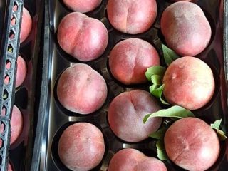 Wholesale sales of peaches