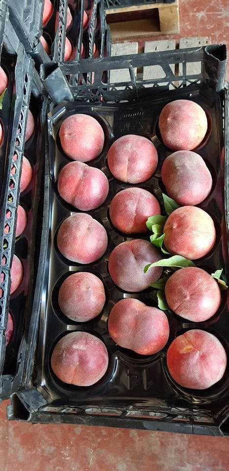 Wholesale sales of peaches