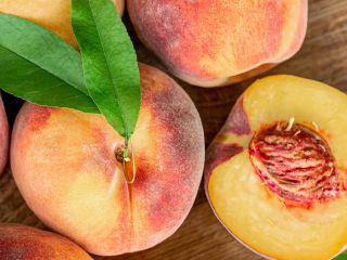 Peach Red Haven Tarade origin - Republic of Moldova