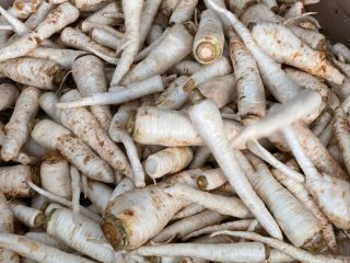 I will sell parsley, dirty and washed, about 30