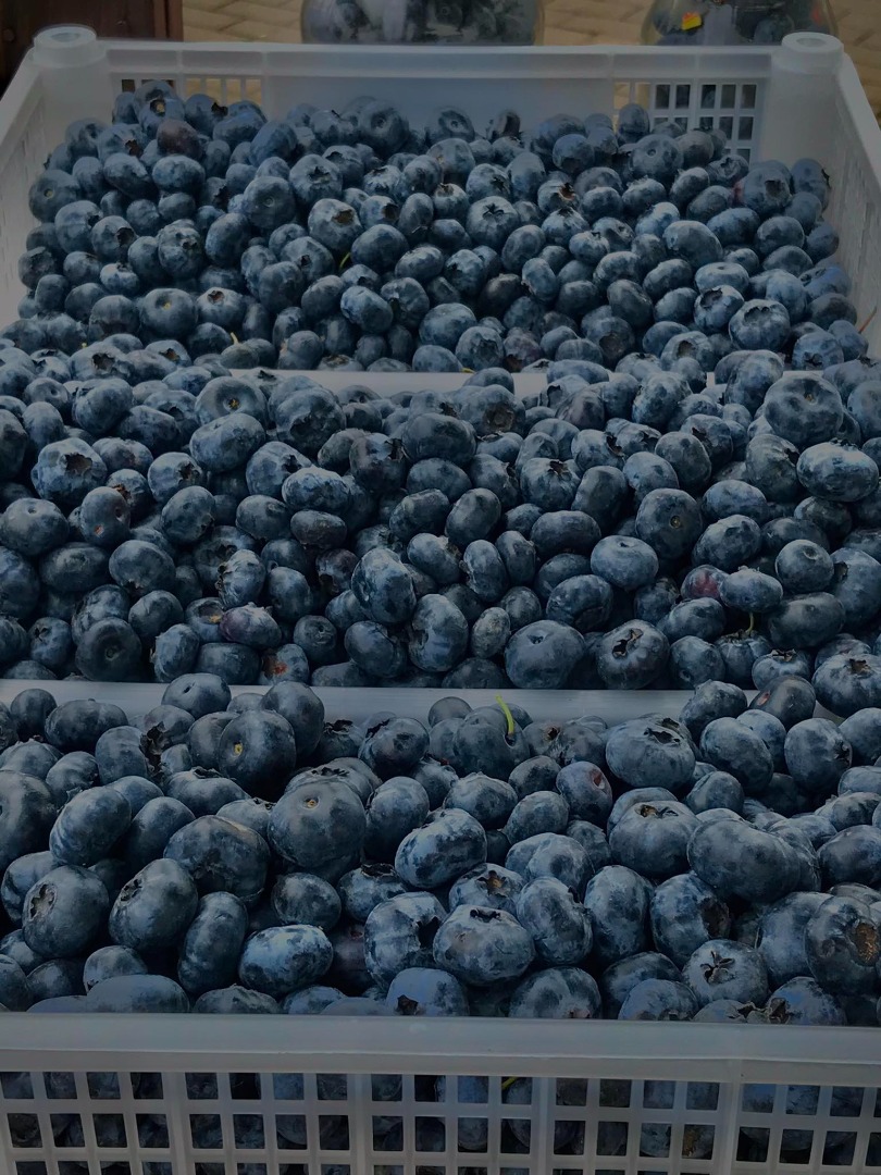 I will sell American blueberries, the price to be agreed depends on the market price