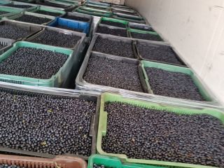 I have large quantities for sale - up to
