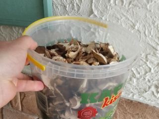 I will sell dried mushrooms this year. g PLN
