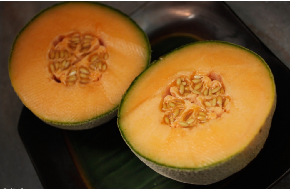 Honey-sweet delicacy! Hungarian free-field melons are available!! Both in small and large quantities