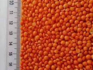 Characteristic-Hard and Split Foreign Matter-1% MAX. Total Damage &