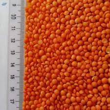 Characteristic-Hard and Split Foreign Matter-1% MAX