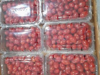 Grape Premium cherry tomato packaged g available pcs