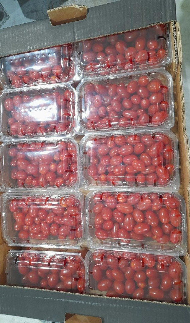 Grape Premium cherry tomato packaged g available pcs