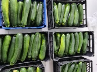 Hello, I am a farmer, I have for sale