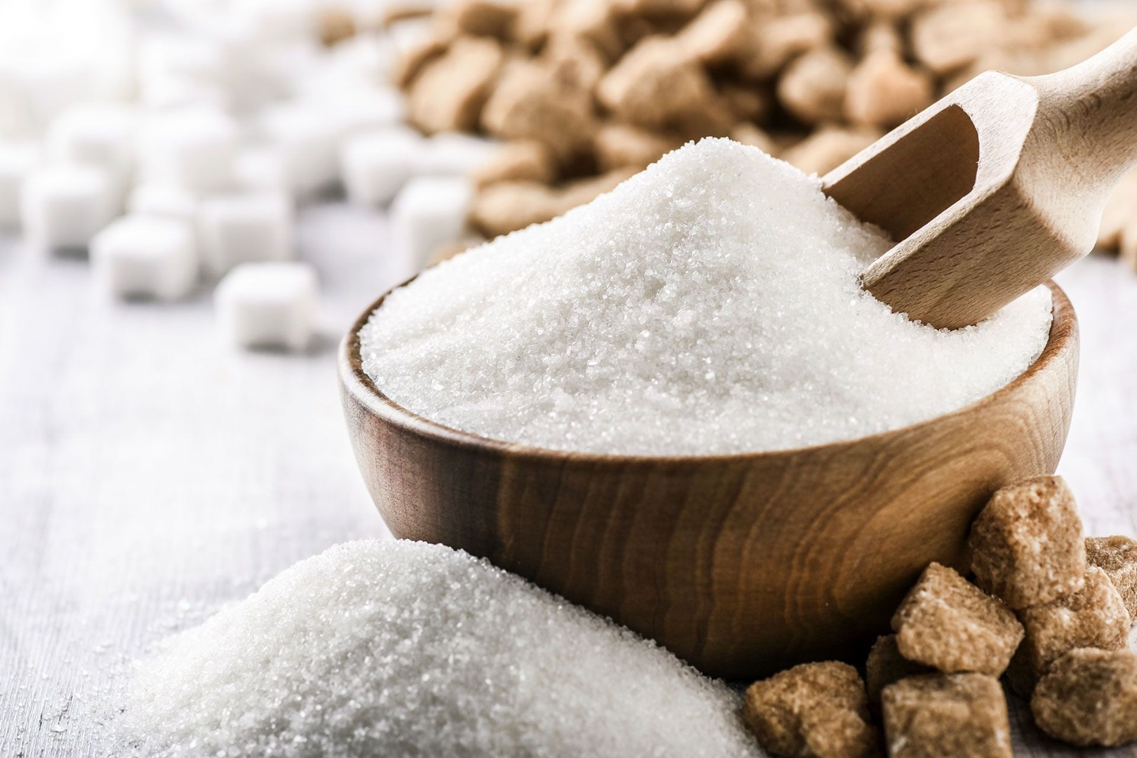 We offer sugar and cereals from Ukraine (sorghum, corn, wheat) as well as rapeseed and other goods (meal, flour, oils)