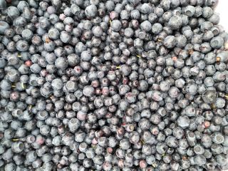 Hello, I offer freshly picked blueberries for sale, please