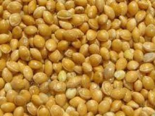 I will sell millet yellow chervone black as well