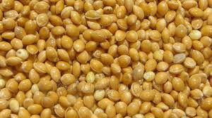 I will sell millet yellow chervone black as well as peas and various grains for export