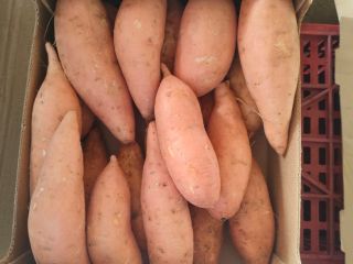 Yam! sweet potato! I will sell sweet potatoes. Size