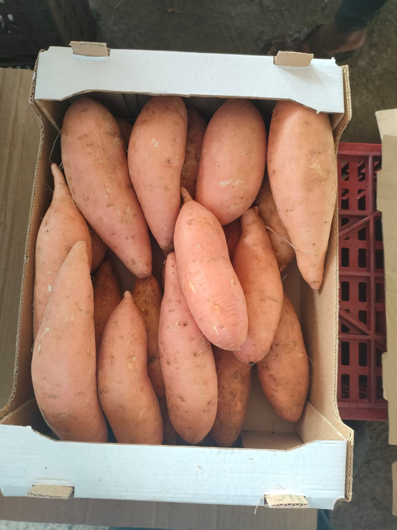Yam! sweet potato! I will sell sweet potatoes