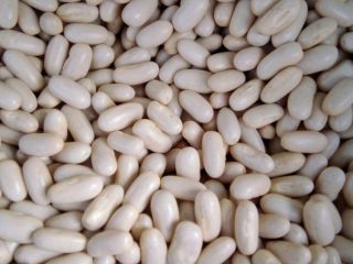 Soc com we sell all types of beans from