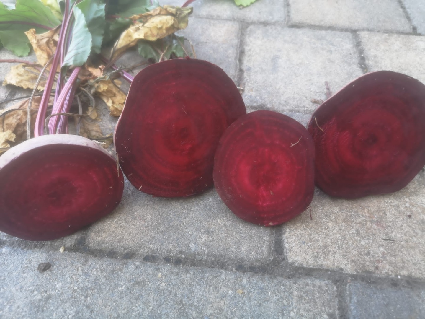 Company offers beetroots