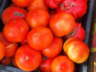 Quality, seasonal products. We have 2 solar plants full