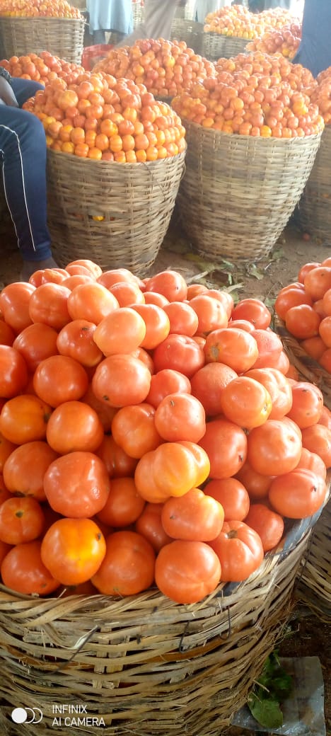 We are well established tomatoes producers.Our products are purely organic tomatoes and comes with good health benefits
