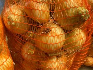 Romanian onion for sale - 2023 Yellow / Red