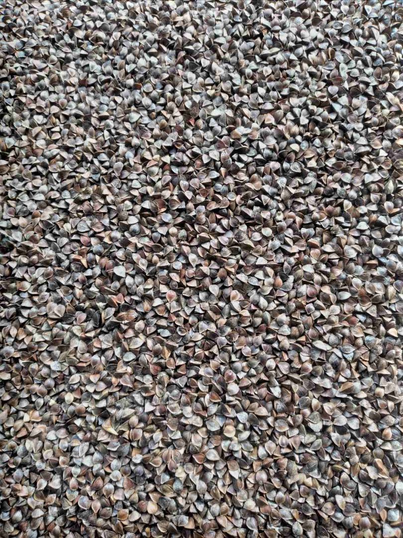 We offer wheat, barley, corn and rapeseed grain in large quantities of 100-10,000 tons, in big bags and in bulk