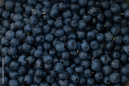 forest berries [blueberries] collected daily clean possible transport quantities to be agreed individually