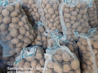 I will sell new potatoes, Catania, Vineta variety. Fresh