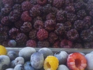 I sell cultivated blueberries in quantities from 100 to
