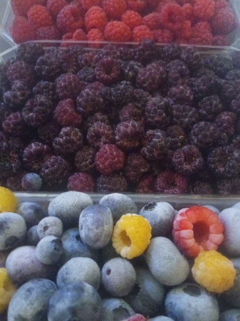 I sell cultivated blueberries in quantities from 100 to 600 kg per week, more details by phone