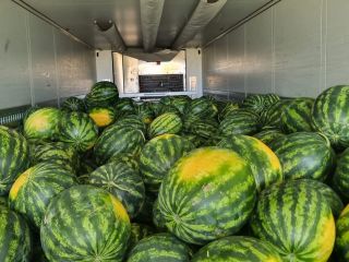 The Romanian company BIOGLOBE STANDART offers watermelon in 700