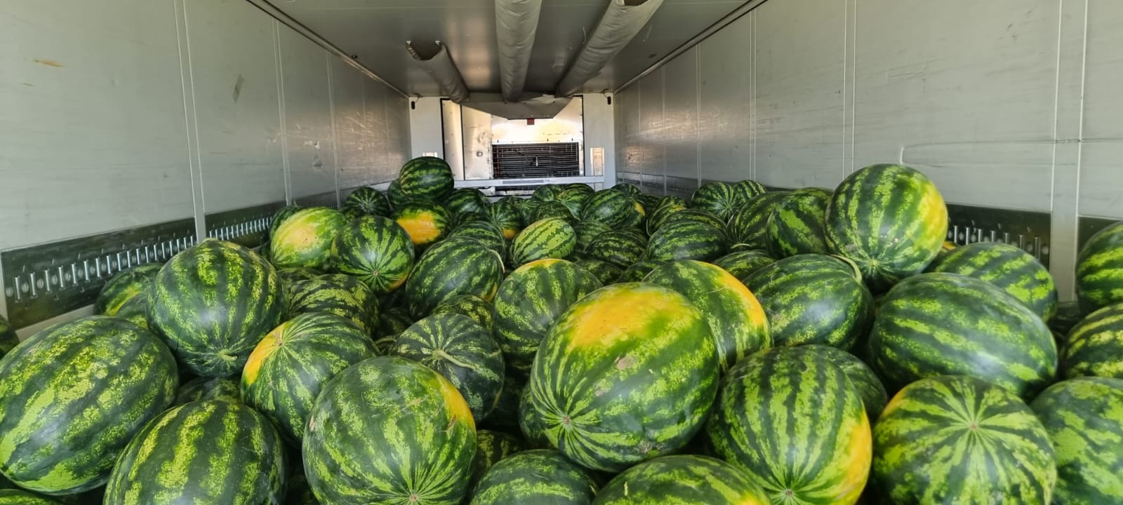 The Romanian company BIOGLOBE STANDART offers watermelon in 700 kg crates from Bulgaria, the size of 5-12 kg is a large amount, the price is given immediately
