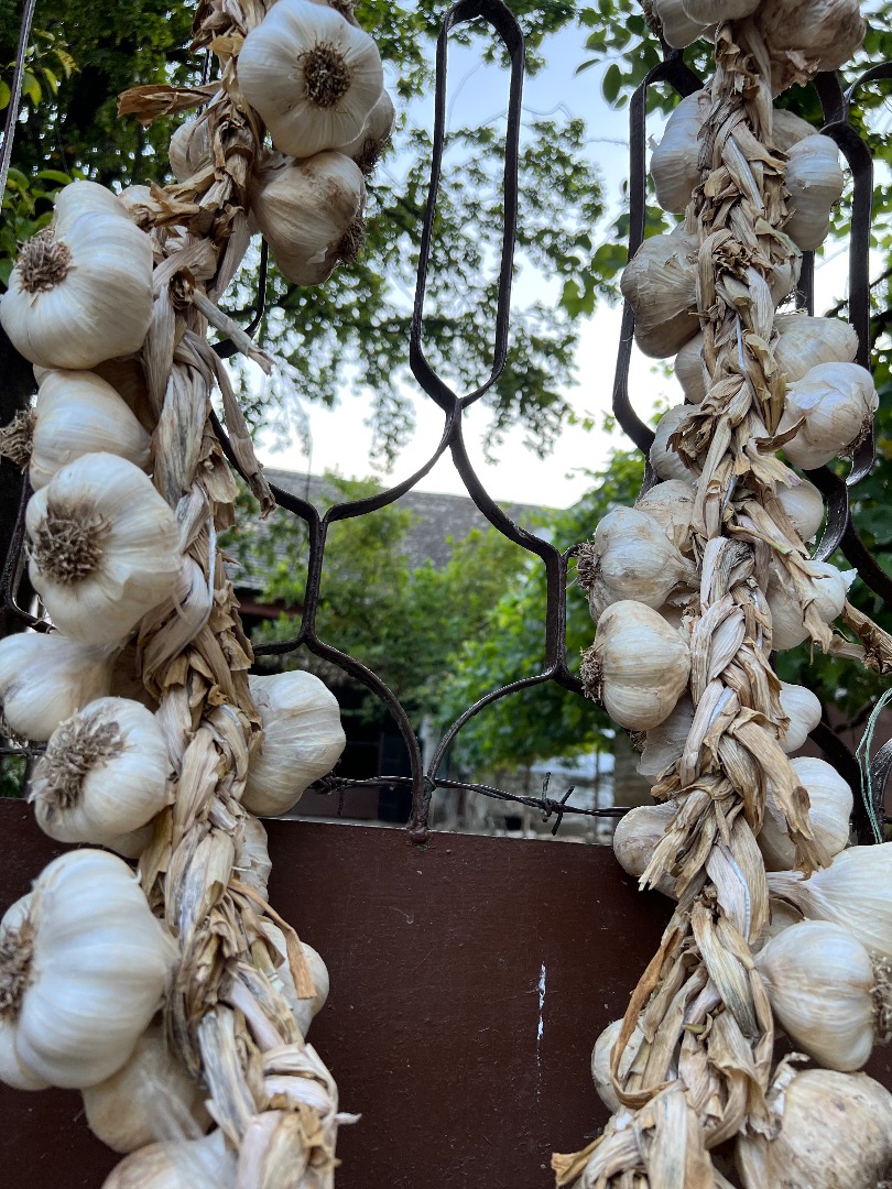 I am selling local autumn garlic "Bosut" both for consumption and for seeds! Sale exclusively in bulk! For serious buyers, a deal is possible, wholesale prices!