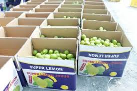 I will sell Tahiti Limes Grade 1 straight from the producer