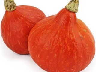Hello I have Hokkaido Orange pumpkins for sale. Feel
