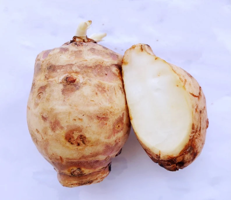 I will sell Jerusalem artichoke from 3 hectares of crops