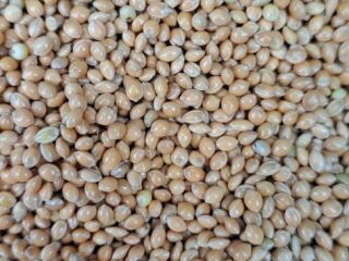 Our company deals with organic farming. We have now