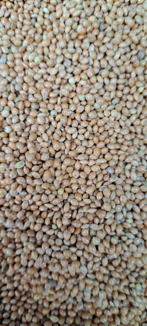 Our company deals with organic farming