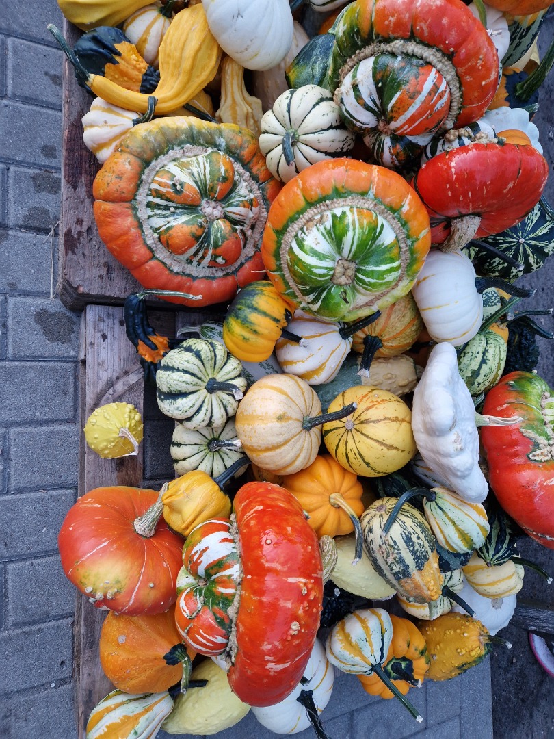 Hello, I have decorative pumpkins for sale in various colors and shapes, including a mix of colors