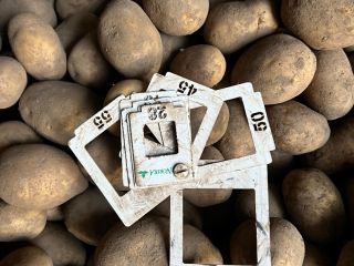 I'm selling potatoes in bulk (bulk, big-bag) quantities, over