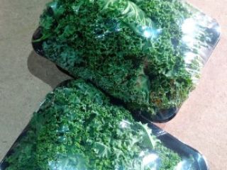I am selling kale in bulk or in cardboard