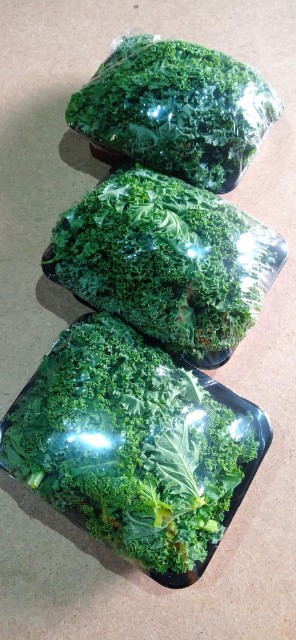 I am selling kale in bulk or in cardboard trays, 2.5 kg, global gap, current tests, please